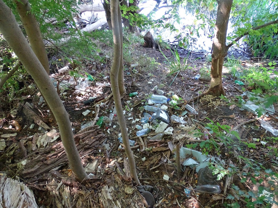 Kajakowy Eko Patrol Zdjęcie z Kajakowego Eko Patrolu