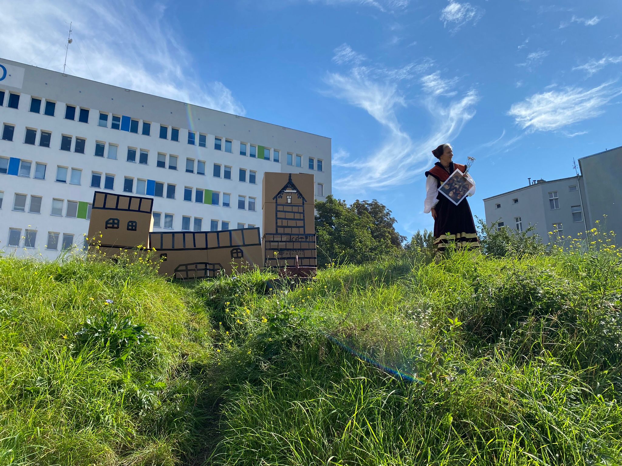 zamek Sydonii z tektury