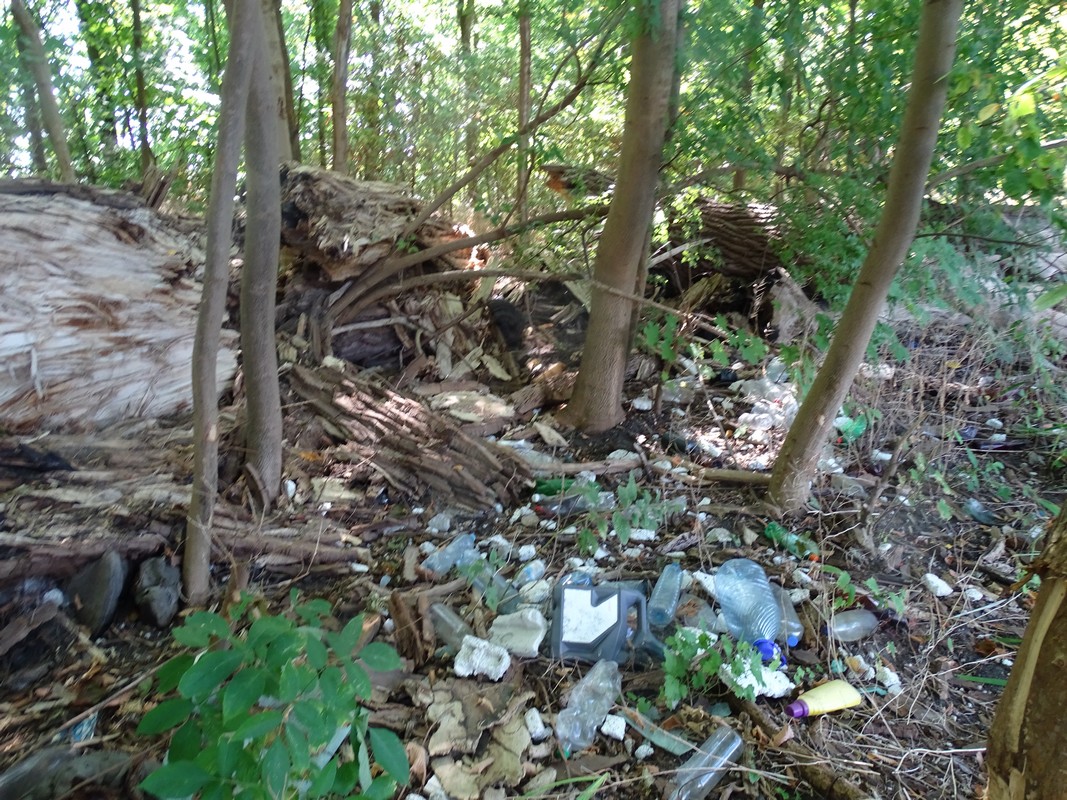 Kajakowy Eko Patrol Zdjęcie z Kajakowego Eko Patrolu